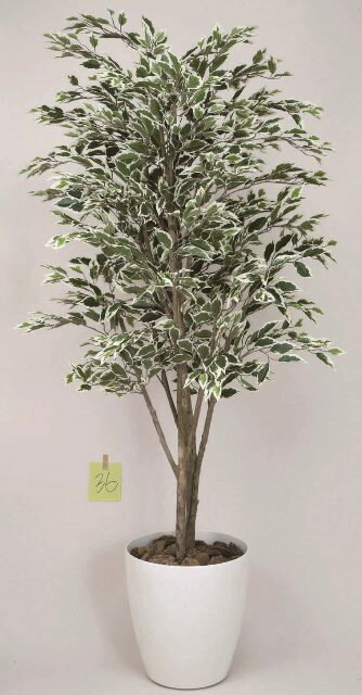フェイクグリーン 観葉植物 フェイク 人工観葉植物 光触媒 造花 インテリア リアル おしゃれ お祝い 樹 木 室内 人気 空気清浄 玄関 リビング オフィス 部屋 シンプル 抗菌 消臭 観葉樹 ベンジャミンツリー 斑入り 1.6m（153k430）