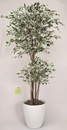 Benjamin - フェイクグリーン 観葉植物 フェイク 人工観葉植物 光触媒 造花 人気 空気清浄 玄関 リビング オフィス 部屋 シンプル 抗菌 消臭 観葉樹 トロピカルベンジャミン 斑入り 1.6m（166k480）