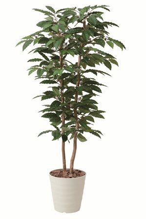 フェイクグリーン 観葉植物 フェイク 人工観葉植物 光触媒 造花 インテリア リアル おしゃれ お祝い 樹..