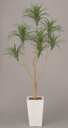 フェイクグリーン 観葉植物 フェイク 人工観葉植物 光触媒 造花 インテリア リアル おしゃれ お祝い 樹..