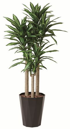 フェイクグリーン 観葉植物 フェイク 人工観葉植物 光触媒 造花 インテリア リアル おしゃれ お祝い 樹 木 室内 人気 空気清浄 玄関 リビング オフィス 部屋 シンプル 抗菌 消臭 観葉樹 幸福の木1.8m （401k440）