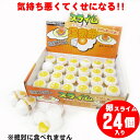 ＜バラエティ玩具＞クセになる不思議な感触☆とろとろ温泉卵スライム おもちゃ 縁日 お祭り おススメ 雑貨 お店屋さん向け 可愛い イベント スライム 食べられません 可愛い 人気 子供 おもちゃ 温泉卵