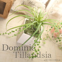 フェイクグリーンティランジア造花人工観葉植物グリーンお洒落インテリア人気フェイクグリーンティランジア造花ボタニカルインテリアショップ多肉Arrangementアレンジメントカフェ風インテリア小物雑貨