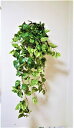 人工観葉植物ポトス壁掛け触媒加工送料無料全長78cm