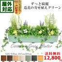 送料無料◎ 屋外対応 シサスミックスグリーンプランター 60...