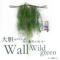 【人工観葉植物】【グリーン壁掛】【触媒加工】【送料無料】