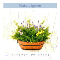 あれ?冬なのに満開?ミックスフラワーグリーンプランター【送料無料】【触媒加工品】【防菌・防カビ・抗ウイルス・消臭】【送料無料11800円】【幅50センチ】【野外対応】【送料無料】
