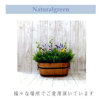 あれ?冬なのに満開?ミックスフラワーグリーンプランター【送料無料】【触媒加工品】【防菌・防カビ・抗ウイルス・消臭】【送料無料11800円】【幅50センチ】【野外対応】【送料無料】
