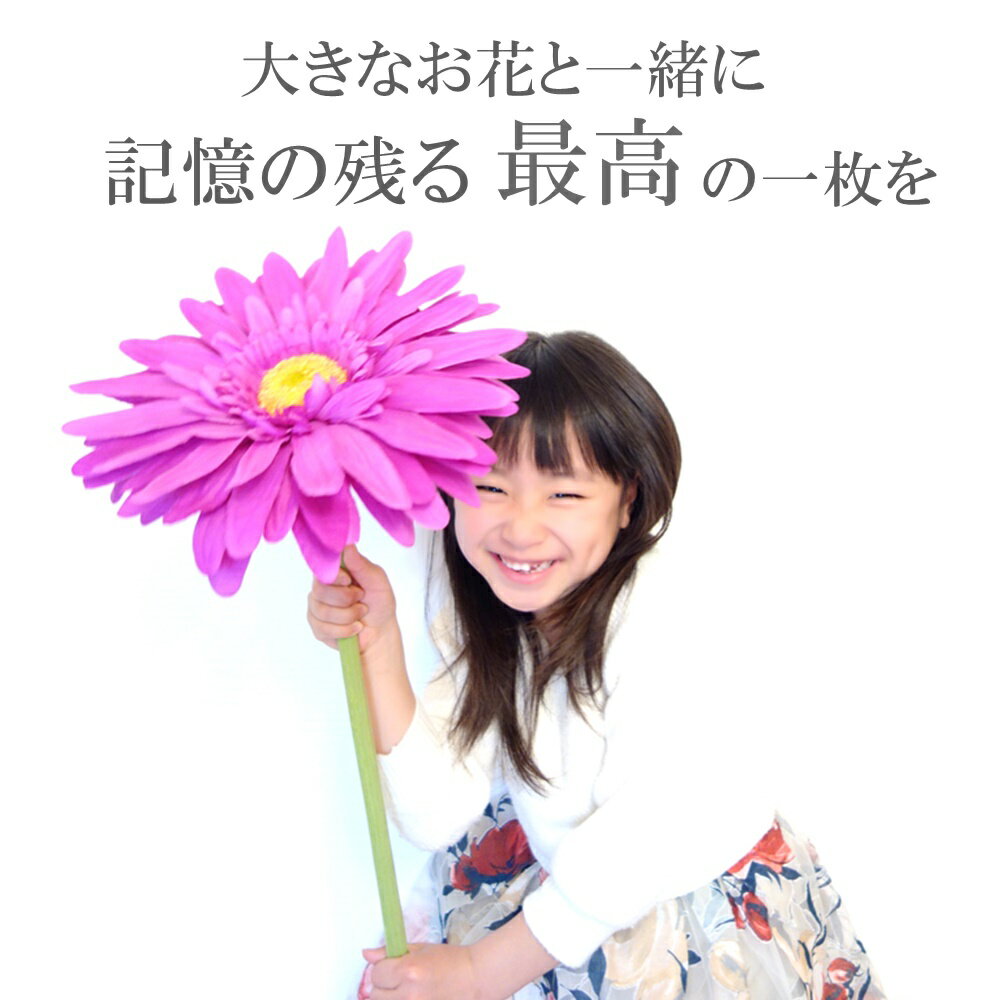 オシャレで大人気のガーベラがなんと花経29cmのビッグサイズに 人気の為限定発売です ガーベラ 造花 大きい 花 アリス 写真 Sns 人気 おおきい お花 装飾 特大サイズ ビックガーベラ 選べるカラー 可愛い 結婚式 紫 国産品 限定発売 良質 オレンジ オシャレ インテリア