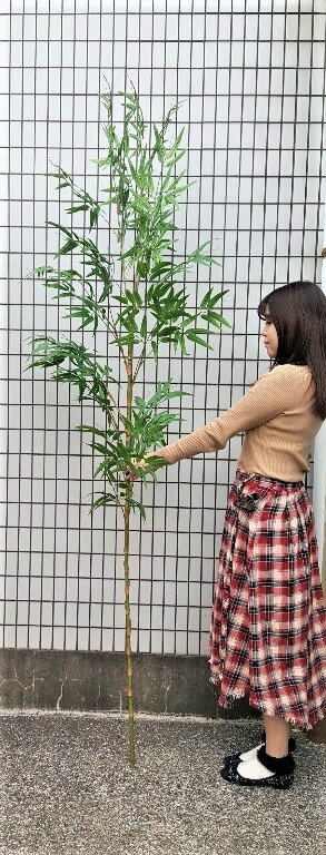 【笹】【竹】【造花ササ】【七夕】【和装飾】送料無料【特大ササ2.4m】3分割コンパクトに収納可