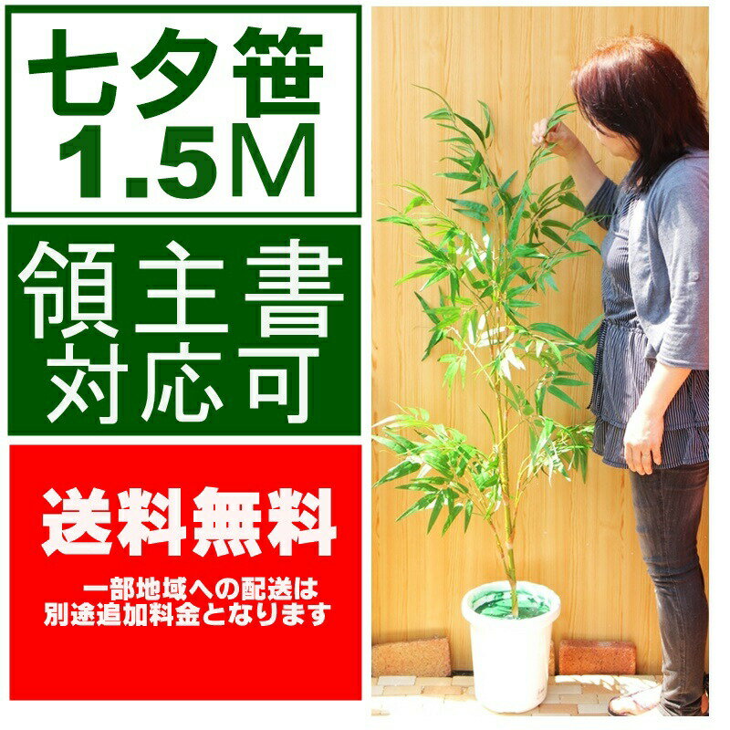 【七夕ササ】送料無料◎ 笹 1.5m ディスプレイ 高品質 七夕 人工観葉植物 笹 9800円 フェイクグリーン 屋外可能 織姫 彦星 大量注文可能 和 和風 この大きさでの最安値に商戦 装飾 7月 大きい 笹 幼稚園　老人ホーム　飲食店 駅 ショッピングモール ポット付