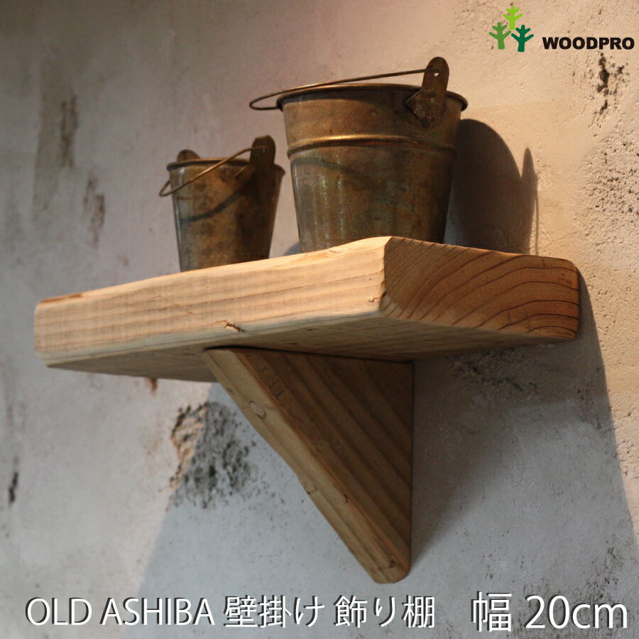13ws200_2023.jpg 13ws200_2023.jpg