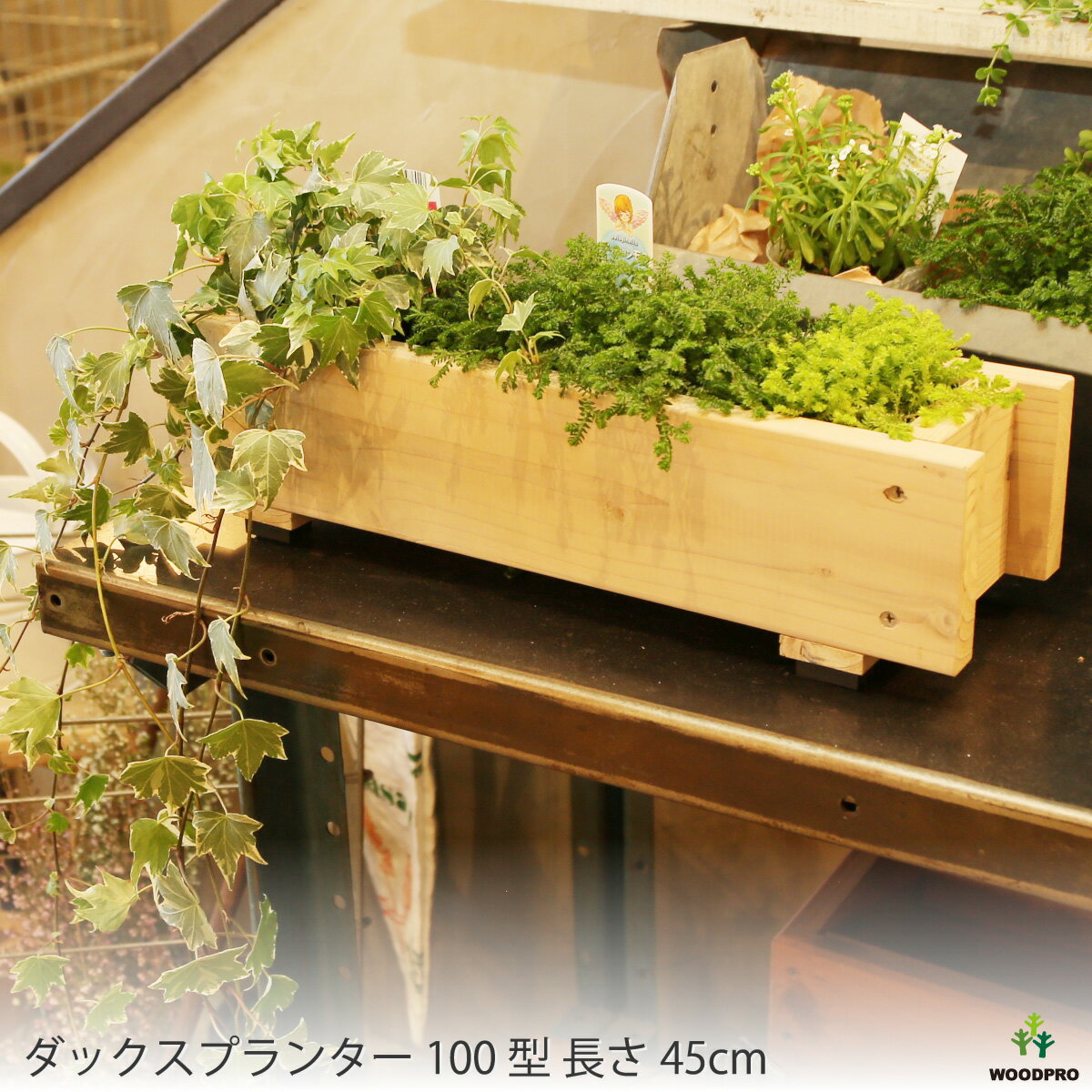 プランター・植木鉢