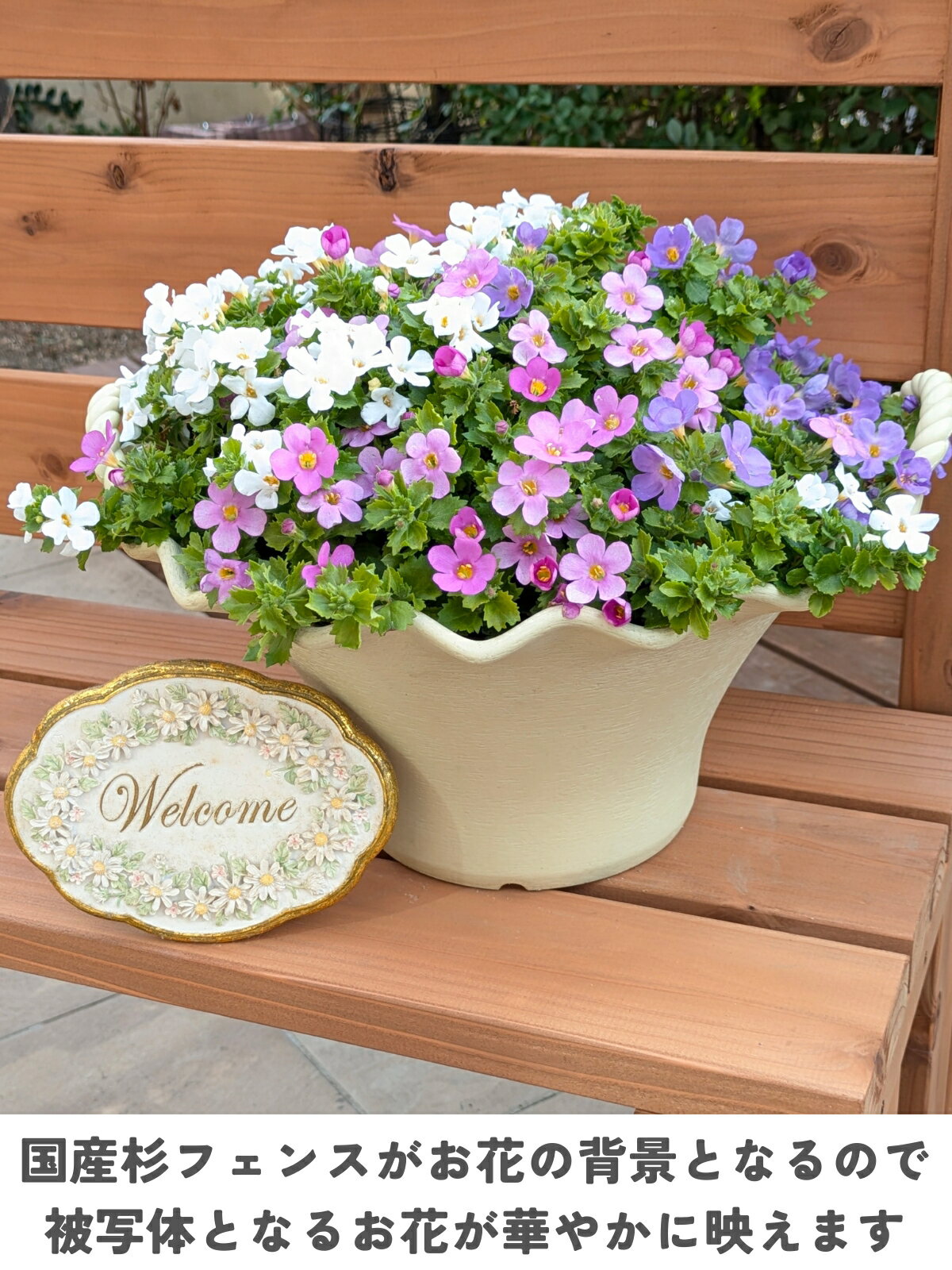 �ץ�󥿡��� ���� ê�ĥ��å�1�ʡʥϥ������סˡ����ѥե��󥹥��å���91cm�߱���33.6cm�߹⤵81.5cm�Ѳٽ�30kg �ץ�󥿡�������� �񻺿� ��ݥ�å� ���տ�ʪ �٥��� ������