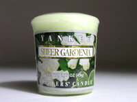 ヤンキーキャンドル YANKEE CANDLE サンプラー シアーガーデニア（SHEER GARDENIA）