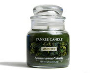 【送料無料】 ヤンキーキャンドル YANKEE CANDLE ジャーS ミスルトゥ（MISTLETOE）