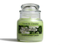 【送料無料】 ヤンキーキャンドル YANKEE CANDLE ジャーS シアーガーデニア（SHEER GARDENIA）