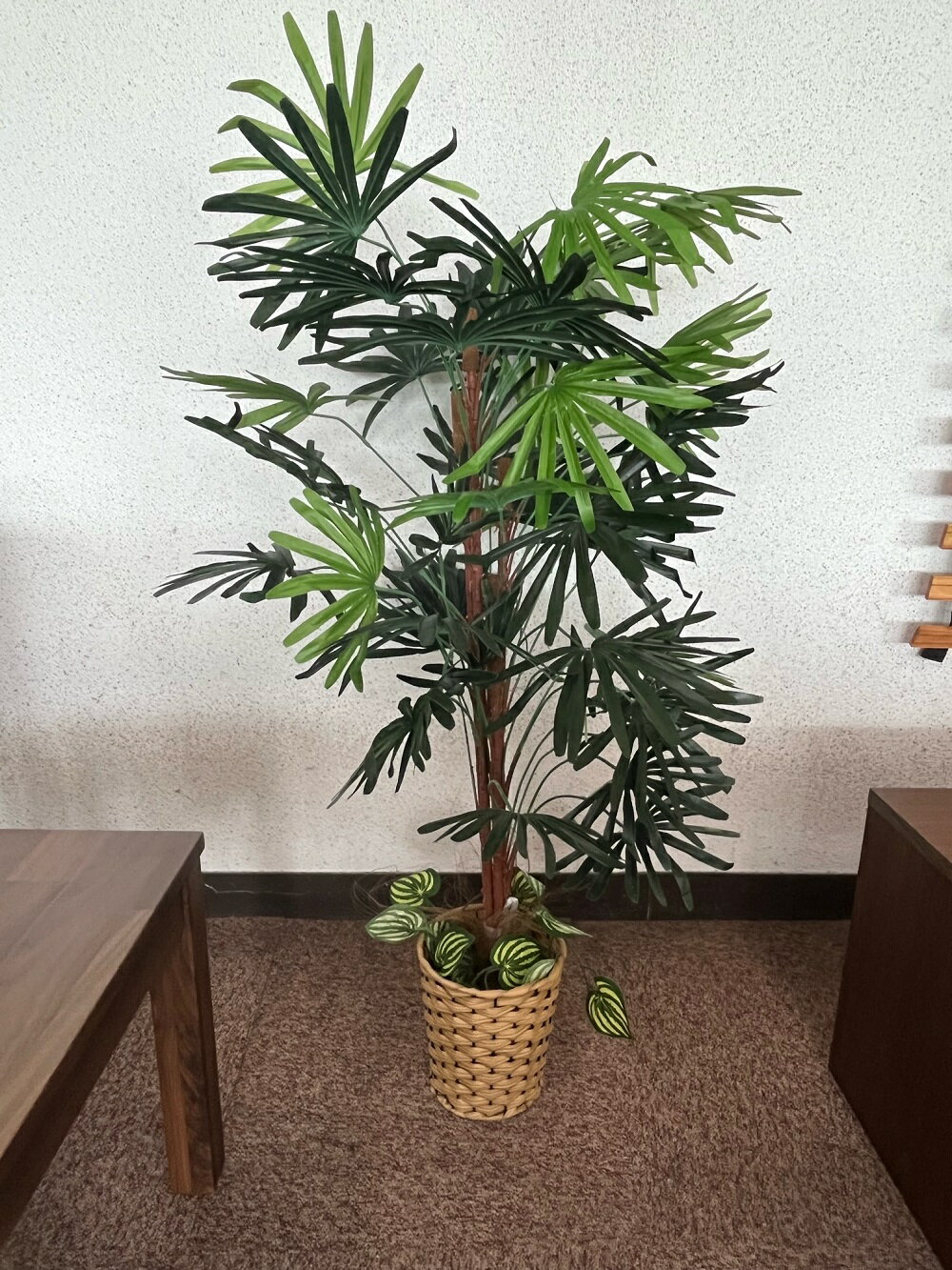 フェイクグリーン　観葉植物　観音竹　手入れ不要　高さ100cm　送料無料