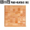 童具館の積み木ワクブロックWAKU-BLOCK45HG1(立方体64個)