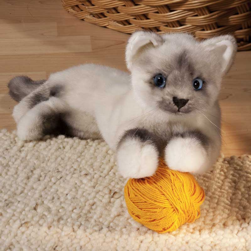 楽天市場】猫 ぬいぐるみ ヒマラヤン(ぬいぐるみ|ぬいぐるみ 楽天市場】猫 ぬいぐるみ ヒマラヤン(ぬいぐるみ|ぬいぐるみ
