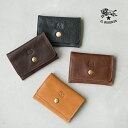 ◇【国内正規販売店】[54232305660]IL BISONTE(イルビゾンテ) 2023 SPRING SUMMER/カードケース/ヴィンテージ レザー