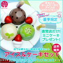 【直営店限定】はじめてのおままごと アイス&ケーキセット(マカロン付き) 送料無料