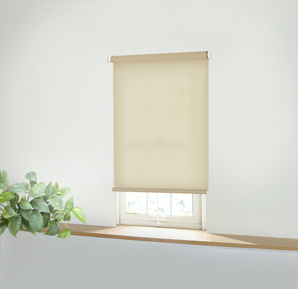 ロールスクリーン ロールカーテン ロールアップ ブラインド のれん 目隠し 間仕切り カーテン スクリーン すだれ 遮光 調光 北欧 洗面所 脱衣所 玄関