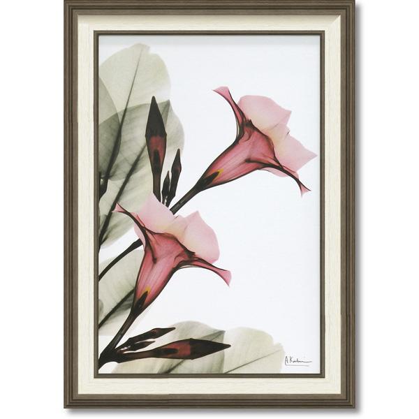 インテリア 壁掛け 壁絵 アートパネル アートボード 絵画 アート 絵 ウォールデコレーション 壁飾り ディスプレイ アートポスター