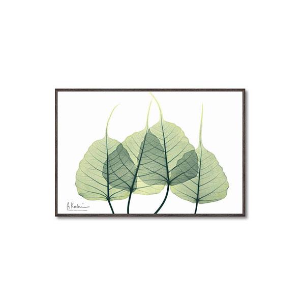 インテリア 壁掛け 壁絵 アートパネル アートボード 絵画 アート 絵 ウォールデコレーション 壁飾り ディスプレイ アートポスター