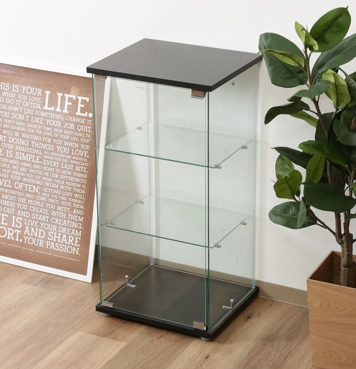 コレクションケース キャビネット ガラス ショーケース アンティーク 薄型 フィギュア ディスプレイ 棚 ディスプレイケース コレクションラック ブラック 幅4...