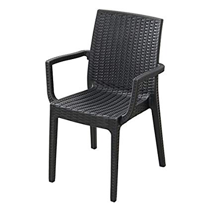 チェア 椅子 イス 2脚セット 屋外 カフェ系 テラス ガーデン 庭 ベランダ バルコニー 肘置き【ガーデン家具 ガーデンチェア チェア 椅子 イス いす 送料無料】