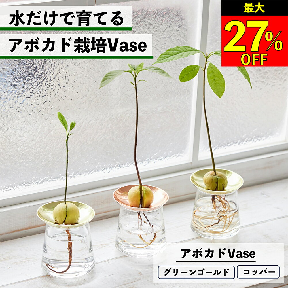【全品10％OFF＋最大20％クーポン】 アボカド 水耕栽培 アボカド栽培Vase アボカドの種 アボカド水耕栽培 アボカド栽培 アボカド水栽培 アボカド種 アボカド容器 アボカド栽培容器 種の栽培容器 種栽培 種の水耕栽培 種の水栽培 栽培キット 水耕栽培の容器