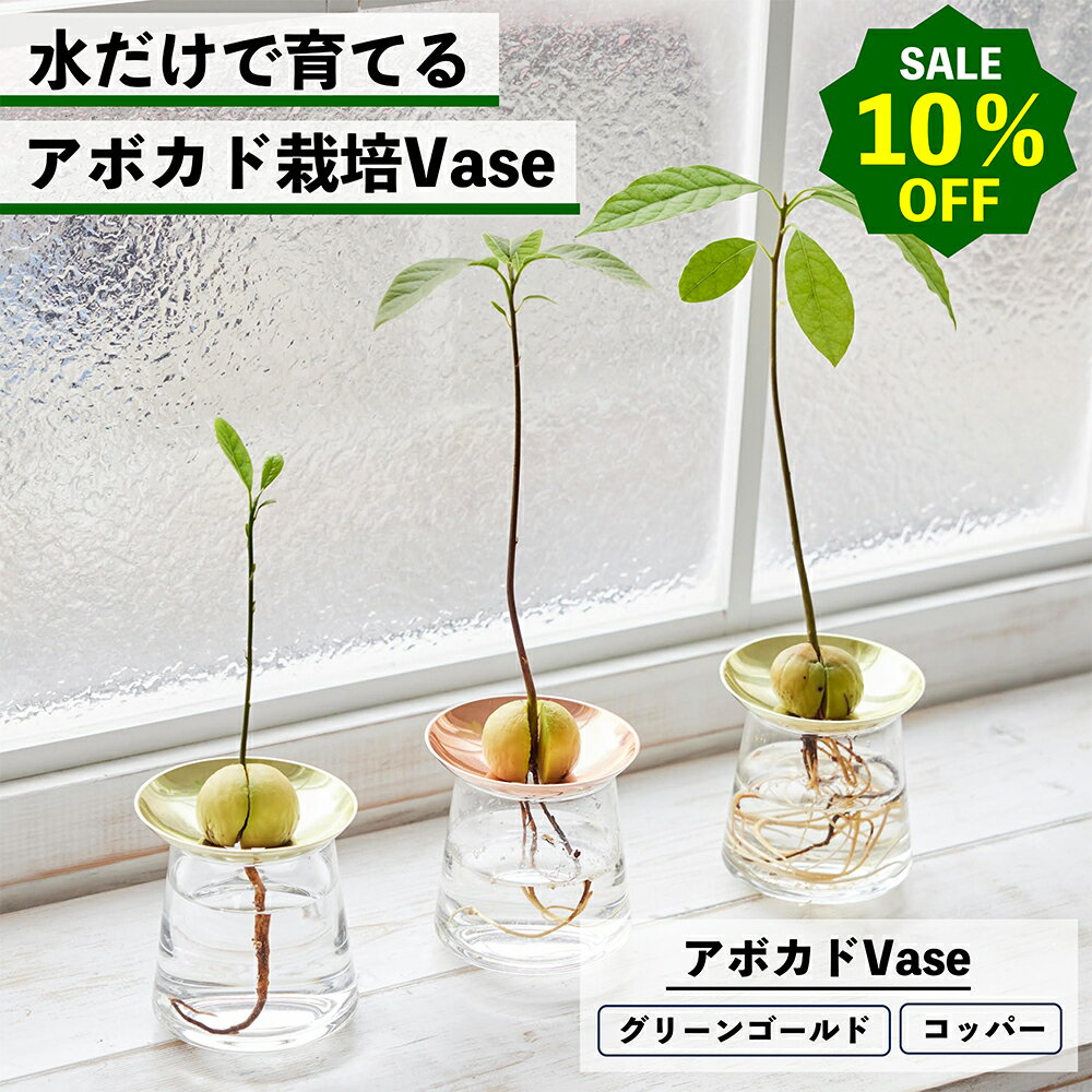 【2点以上購入で1,000円OFF】アボカド 水耕栽培 アボカドの種 アボカド水耕栽培 アボカド栽培 アボカド水栽培 アボカド種 アボカド容器 アボカド栽培容器 種の栽培容器 種栽培 種の水耕栽培 種の水栽培 栽培キット 水耕栽培の容器 植物 アボカド栽培Vase アボカドの水栽培