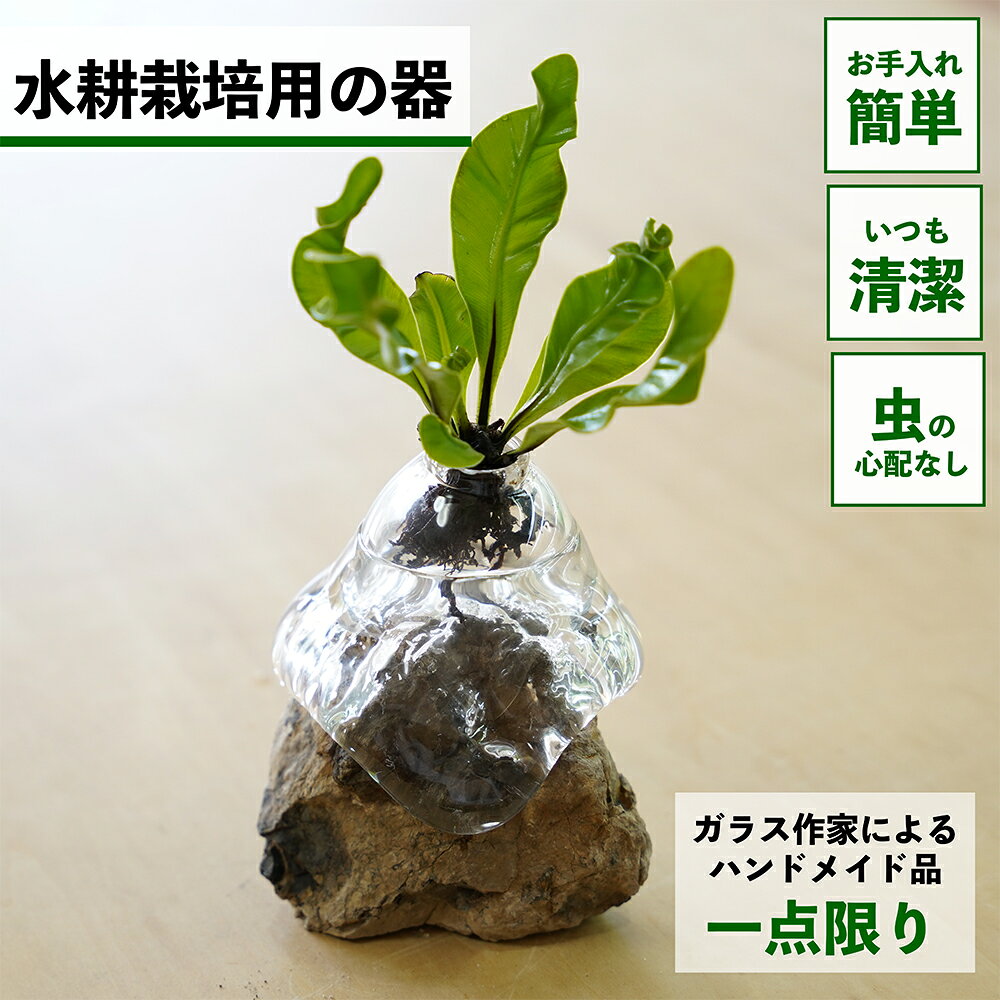 Rakuten - 【2点以上購入で1,000円OFF】 水耕栽培 器 鉢 ガラス ポット 容器 土を使わない ハイドロカルチャー 観葉植物 植物 野菜 グリーン 水耕栽培キット キット 花瓶 フラワーベース 観葉植物の器 水耕栽培専用 水だけで育てる 室内 インテリア 卓上 小型 水栽培 R-11