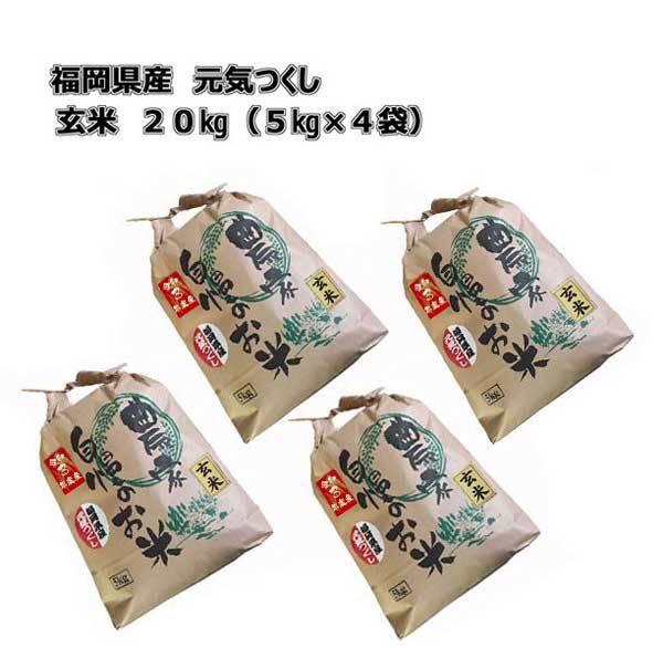 元気つくし　玄米　20kg (5kg×4袋)　令和3年産　福岡県産　農家直送　送料無料
