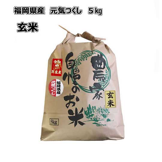 元気つくし　玄米　5kg　令和3年産　福岡県産　農家直送　送料無料
