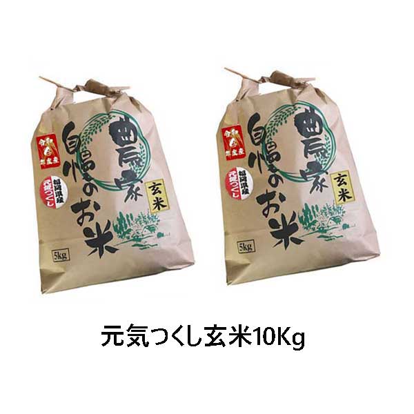 元気つくし　玄米　10kg (5kg×2袋)　令和5年産　福