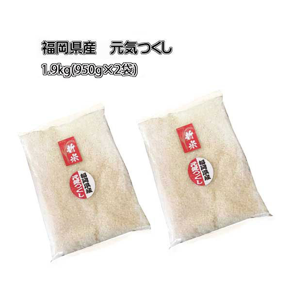 [ 元気つくし ] [ 1.9kg (950g ×2袋) ] 令和7年産 　福岡県産　ポイント消化 農家直送　送料無料　新米