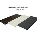 樹脂棚板 1cm24円/枚 オーダー カット 1枚の幅カットサイズ20.0cm〜100.0cm 奥行き29cm