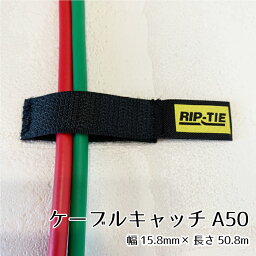 リップタイ ケーブルキャッチA50mm100本パック 《幅15mm×長さ50mm》A-02-100