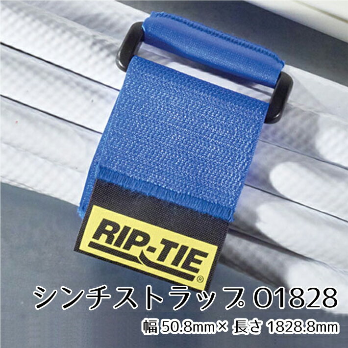 リップタイ 2インチシンチストラップO1828mm50本パック 《幅50mm×長さ1828mm》O-72-050