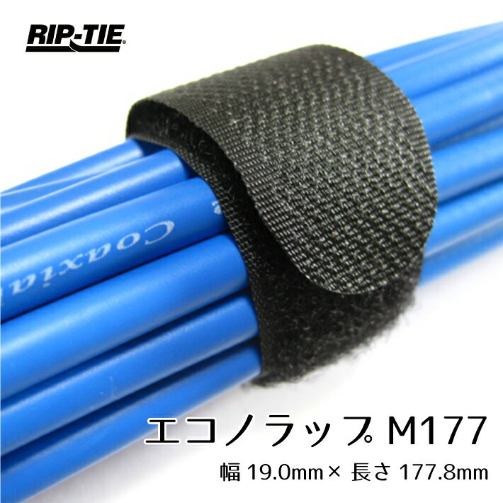 リップタイ エコノラップ M177mm100本パック 幅19mm×長さ177mm