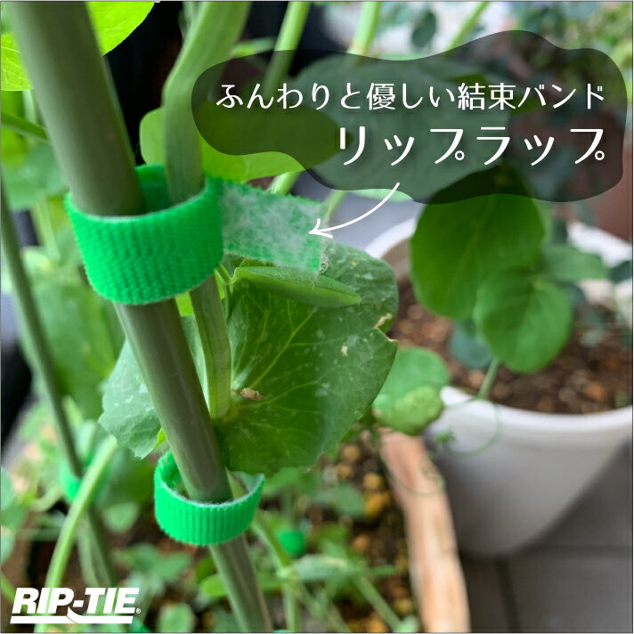 リップタイ　リップラップ12mm　ケーブル　つる　固定　起毛素材　結束バンド　コード　まとめる　イベント　機材　ケーブル　整理　収納　ベルクロ　RIPTIE　G-05　幅12mm