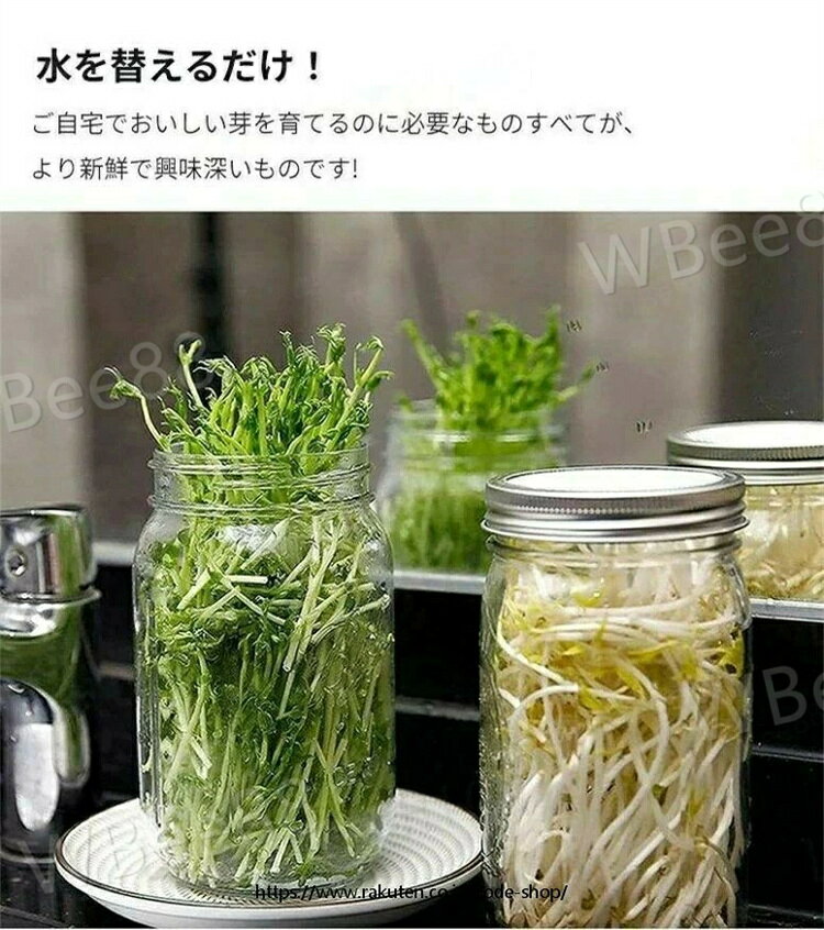 WBee88の栽培用 トレイ付き 2個 植物育成 ブロッコリースプラウト セット ステンレス 落花生 スプラウト 大豆 発芽キット 簡単排水 スタンド付き 通気性 発芽ガラス もやし もやし栽培 栽培キット 耐久性 栽培容器 ジャー ジャーキット メイソン 発芽ジャー｜アングル2