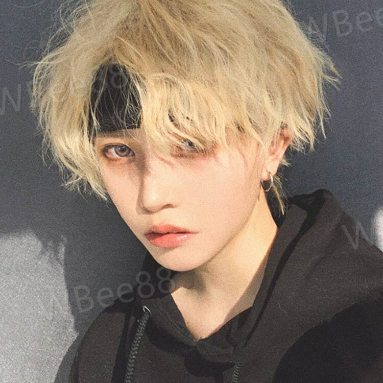メンズウィッグ ふんわり 耐熱 ナチュラル カール フルウィッグ かつら 普段用 韓国 男装 ウィッグネット付 通気性 男装 ショート丈