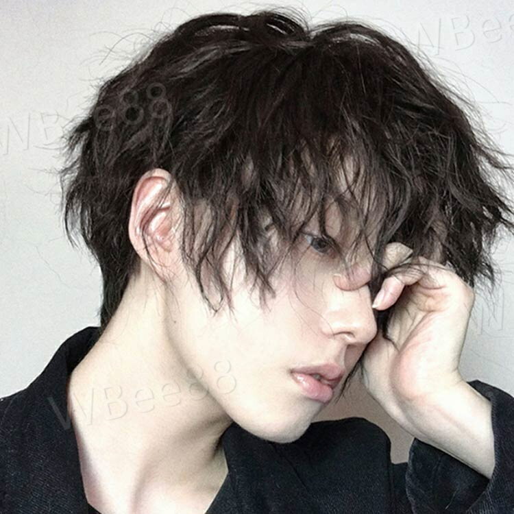 メンズウィッグ ふんわり 耐熱 ナチュラル カール フルウィッグ かつら 普段用 韓国 男装 ウィッグネット付 通気性 男装 ショート丈
