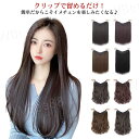 ストレート ウィッグ 部分 エクステ 襟足ウィッグ ウィッグ ロング 選べる3タイプ カール エクステンション ポニーテール 自然 レディース つけ毛 襟足エク...