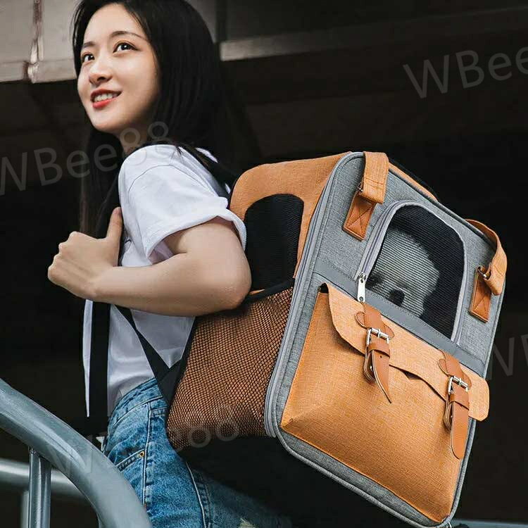 �Хå��ѥå� ��å��� ���� �Хå� ǭ ���Ǥ��� �ڥå� �ڤ� ���ѥХå� �ϥ�ɥ��դ� ȿ�ͥơ����դ� ����꡼������ ���ä� ��ޯ�� ������ ��ž�� ���å� ���å����ե������Ǻ� ������ �ޤꤿ���� ����꡼�Хå� ����꡼ �̱� ���� ι�� ǭ�� �������� ��