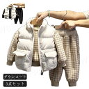 防寒服 110 キッズ パーカー 子供服 ダウンコート 男の子 厚手 韓国風 長袖 ふわふわ 秋冬物 チェック柄 可愛い 防寒 パンツ ベスト アウター 羽織り パーカー ダウンジャケット ベスト お洒落 80 90 100 3点セット