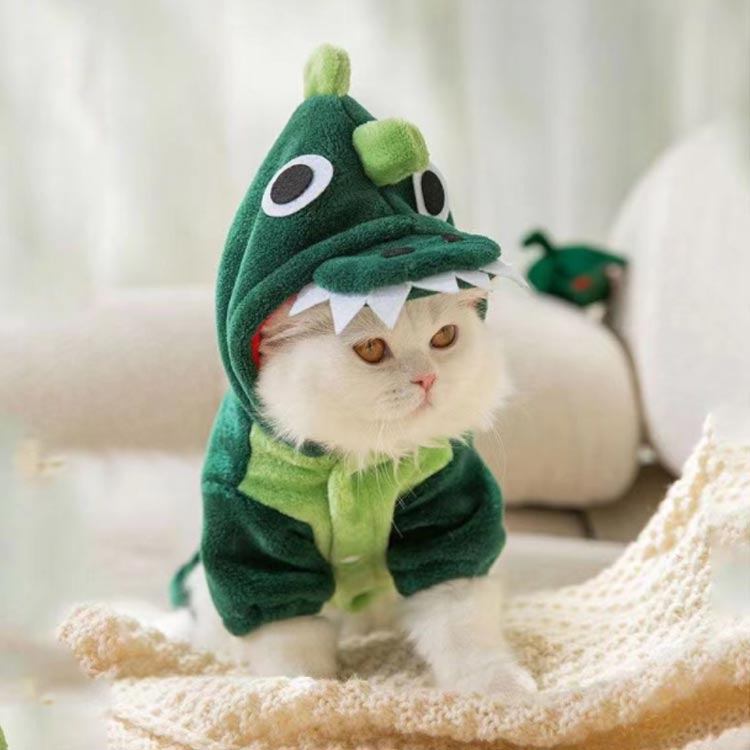 Costume - 仮装 変身 犬服 辰 お出かけ 小型犬 着ぐるみ ペット服 コスプレ ドッグウェア 2024 干支 正月 年賀状 龍 竜 クリスマス ハロウィン コスチューム ペットウェア 中型犬 ネコ 記念撮影 お散歩 暖かい 秋冬 防寒 可愛い